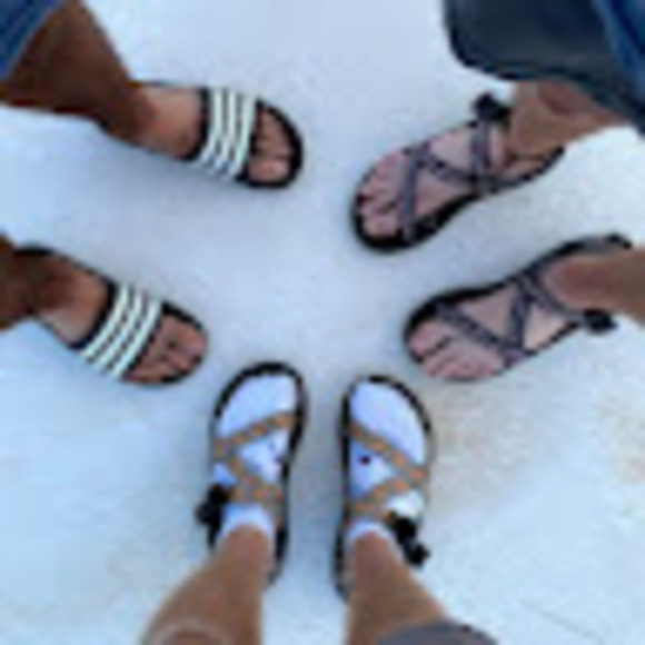 Meet your Posher, Jayce - Picture 1 of 1